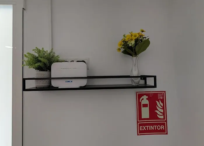 Tucan فالنسيا